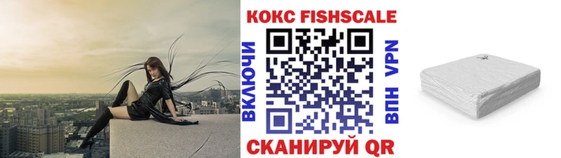 hydra ссылки  цены наркотик  Новосиль  Cocaine Fish Scale 