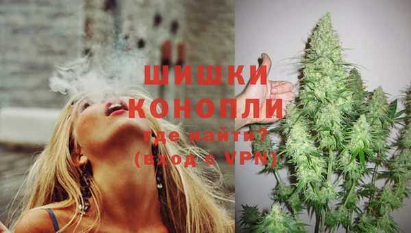 первитин Краснослободск