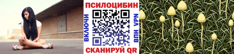 Псилоцибиновые грибы мухоморы  Новосиль 