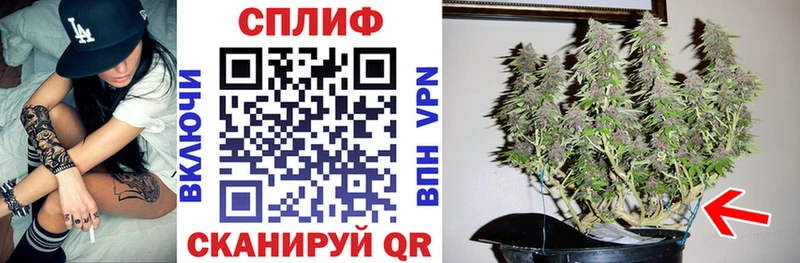 Бошки марихуана гибрид  Новосиль 